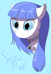 Size: 1450x2100 | Tagged: safe, artist:firmatorenio, oc, oc only, oc:snow pup, pony, bust, collar, female, mare, portrait, solo