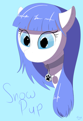 Size: 1450x2100 | Tagged: safe, alternate version, artist:firmatorenio, oc, oc only, oc:snow pup, pony, bust, collar, female, mare, portrait, solo