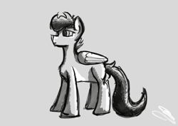 Size: 3508x2480 | Tagged: safe, artist:мяу!, oc, oc:harcoal, pegasus, missing cutie mark, solo