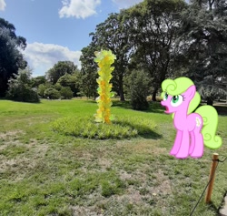 Size: 1280x1214 | Tagged: safe, artist:ready2fail, artist:s-class-destroyer, daisy, flower wishes, pony, glass, green background, irl, kew gardens, photo, ponies in real life, shock, shocked, shocked expression, simple background, tree