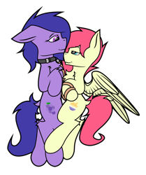 Size: 2048x2448 | Tagged: safe, artist:bitrate16, oc, oc:eclipse flight, oc:grapie, earth pony, pegasus, collar, earth pony oc, female, lead, leash, looking at each other, male, mare, pegasus oc, shipping, simple background, smiling, stallion, transparent background, vector, wings