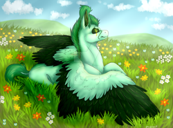 Size: 1920x1423 | Tagged: safe, artist:blackheartthedragon, oc, oc:kiwi, pegasus, pony, prone, solo, two toned wings, wings