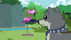 Size: 1920x1080 | Tagged: safe, screencap, sandra, bird, flamingo, wolf, she talks to angel, collar, dog collar, scout (flamingo)