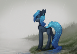 Size: 2857x2000 | Tagged: safe, artist:koviry, oc, oc only, oc:noctis, earth pony, pony, male, rain, solo, stallion