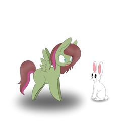 Size: 1000x1000 | Tagged: safe, artist:kaggy009, angel bunny, oc, pegasus, pony, ask peppermint pattie, female, filly