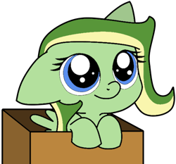 Size: 550x512 | Tagged: safe, artist:didgereethebrony, artist:lilylupony, oc, oc:boomerang beauty, pegasus, pony, base used, blue eyes, box, cute, female, filly, floppy ears, hooves on the top of the box, in a box, ocbetes, pony in a box, simple background, solo, trace, transparent background