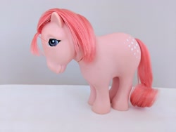 Size: 4032x3024 | Tagged: safe, cotton candy (g1), g1, furga, irl, italy, photo, toy, variant