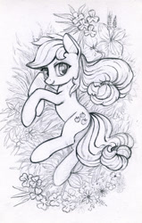 Size: 600x944 | Tagged: safe, artist:maytee, derpibooru import, applejack, earth pony, pony, cute, female, flower, grass, grayscale, hatless, jackabetes, looking at you, mare, missing accessory, monochrome, on side, pencil drawing, smiling, solo, traditional art