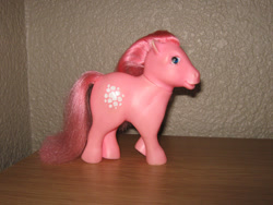 Size: 600x450 | Tagged: safe, cotton candy (g1), g1, irl, photo, south africa, toy, variant