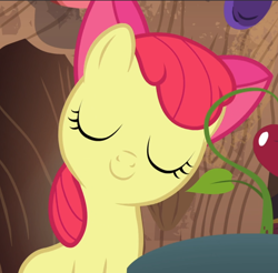 Size: 954x939 | Tagged: safe, screencap, apple bloom, on your marks, adorabloom, cropped, cute, eyes closed, proud, smiling, solo