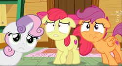 Size: 1667x902 | Tagged: safe, screencap, apple bloom, scootaloo, sweetie belle, earth pony, pegasus, pony, unicorn, on your marks, clubhouse, cropped, crusaders clubhouse, cutie mark crusaders, female, filly, floppy ears, looking at you, scared, shrunken pupils, solo