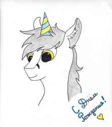 Size: 1966x2228 | Tagged: safe, artist:alpinebird, oc, oc:kej, pony, hat, male, party hat, solo, stallion, traditional art