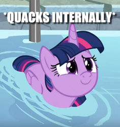 Size: 544x576 | Tagged: safe, derpibooru import, edit, edited screencap, screencap, twilight sparkle, twilight sparkle (alicorn), alicorn, duck, duck pony, pony, spoiler:deep tissue memories, behaving like a duck, c:, caption, cropped, cute, deep tissue memories, female, folded wings, image macro, lidded eyes, looking up, mare, meme, smiling, solo, swimming, text, twiabetes, twilight duckle, water, wings, x internally