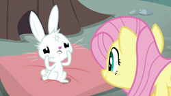 Size: 1920x1080 | Tagged: safe, derpibooru import, screencap, angel bunny, fluttershy, pony, rabbit, she talks to angel, animal, body swap, bruised, duo, female, male, mare, pillow