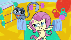 Size: 1920x1080 | Tagged: safe, derpibooru import, screencap, bubbles (cat), fluttershy, cat, pegasus, pony, cute-pocalypse meow, my little pony: pony life, spoiler:pony life s01e03, barbell, bipedal, kettlebell, weight lifting