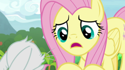 Size: 1920x1080 | Tagged: safe, derpibooru import, screencap, angel bunny, fluttershy, pegasus, pony, she talks to angel, animation error, body swap, female, mare