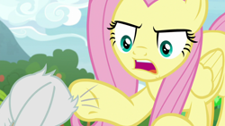 Size: 1920x1080 | Tagged: safe, derpibooru import, screencap, angel bunny, fluttershy, pegasus, pony, she talks to angel, angry, animation error, body swap, female, mare, pointing