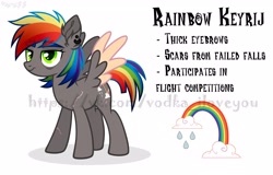 Size: 2560x1638 | Tagged: safe, artist:keyrijgg, oc, pony, adoptable, auction, donut steel, not rainbow dash, rainbow, refetence, sale, simple background, watermark, white background