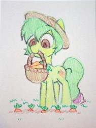 Size: 2848x3776 | Tagged: safe, artist:dawnfire, oc, oc only, earth pony, pony, basket, carrot, food, herbivore, mouth hold, solo, traditional art