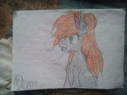 Size: 2592x1944 | Tagged: safe, artist:terminalhash, oc, oc only, oc:ravery, demon, demon pony, original species, pony, solo, traditional art