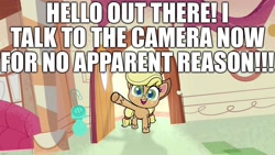Size: 1920x1080 | Tagged: safe, derpibooru import, edit, edited screencap, screencap, applejack, earth pony, pony, my little pony: pony life, breaking the fourth wall, caption, cowboy hat, excessive exclamation marks, female, fourth wall, hat, image macro, looking at you, mare, talking to viewer, text, unshorn fetlocks