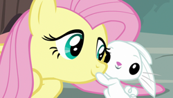 Size: 1920x1080 | Tagged: safe, derpibooru import, screencap, angel bunny, fluttershy, pegasus, pony, rabbit, she talks to angel, animal, cute, duo, female, male, mare, shyabetes