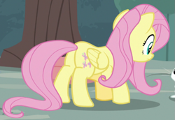 Size: 709x489 | Tagged: safe, derpibooru import, screencap, angel bunny, fluttershy, pegasus, pony, she talks to angel, butt, cropped, female, mare, plot