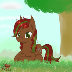 Size: 1000x1000 | Tagged: safe, artist:sweetstrokesstudios, oc, oc only, earth pony, commission, female, mare, solo, tree