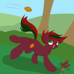 Size: 2000x2000 | Tagged: safe, artist:sweetstrokesstudios, oc, earth pony, commission, solo