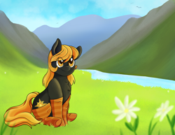 Size: 3300x2550 | Tagged: safe, artist:coffiheart, oc, oc only, oc:golden glory, earth pony, pony, clothes, flower, scenery, sitting, smiling, socks, solo, striped socks