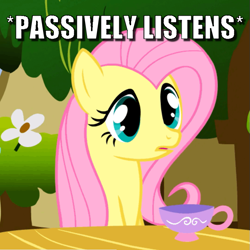 Size: 673x672 | Tagged: safe, derpibooru import, edit, edited screencap, screencap, fluttershy, pegasus, pony, stare master, caption, cropped, cup, image macro, meme, solo, teacup, text