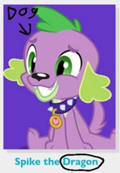 Size: 286x410 | Tagged: safe, spike, spike the regular dog, dog, equestria girls, solo, wrong name