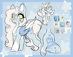 Size: 2730x2154 | Tagged: safe, artist:missclaypony, oc, pegasus, pony, female, mare, moodboard, reference sheet, solo, two toned wings, wings
