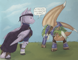 Size: 1990x1532 | Tagged: safe, artist:housho, dracony, dragon, hybrid, pegasus, pony, armor, clothes, dragon wings, fire emblem, fire emblem: the blazing blade, gay, heath, heterochromia, legault, male, ponified, stallion, wings