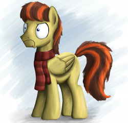 Size: 2143x2062 | Tagged: safe, artist:piemations, oc, oc only, oc:pen, pegasus, pony, :c, clothes, frown, male, painterly, scarf, solo, stallion, striped scarf