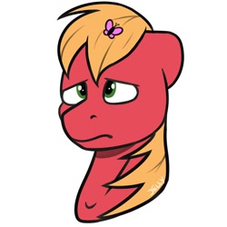 Size: 2000x2000 | Tagged: safe, artist:jellysiek, big macintosh, butterfly, earth pony, bust, floppy ears, male, portrait, simple background, stallion