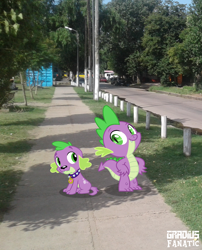 Size: 1240x1536 | Tagged: safe, artist:gradiusfanatic, spike, dog, dragon, equestria girls, doggy dragondox, irl, montage, photo, spike the dog