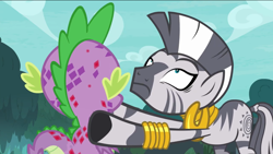 Size: 1136x640 | Tagged: safe, derpibooru import, screencap, spike, zecora, dragon, zebra, molt down