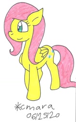 Size: 645x1026 | Tagged: safe, artist:cmara, derpibooru import, fluttershy, pegasus, pony, cute, female, mare, shyabetes, solo, traditional art