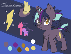 Size: 2048x1536 | Tagged: safe, artist:steelsoul, oc, oc:thunder current, pony, unicorn, cutie mark, female, male, offspring, parent:thunderlane, parent:twilight sparkle, parents:twilane, reference sheet, solo