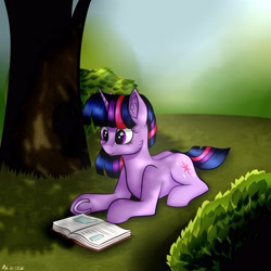 Size: 3000x3000 | Tagged: safe, artist:brilliant-luna, derpibooru import, twilight sparkle, unicorn twilight, pony, unicorn, book, bush, cheek fluff, dappled sunlight, ear fluff, female, grass, high res, horseshoes, lying, mare, prone, reading, smiling, solo, summer, tree