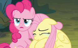 Size: 992x611 | Tagged: safe, derpibooru import, screencap, fluttershy, pinkie pie, earth pony, pegasus, pony, the mean 6, animated, comforting, crying, cute, gif, sad, sadorable