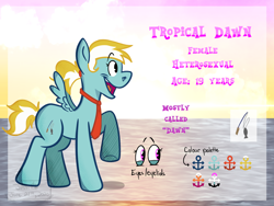 Size: 2160x1620 | Tagged: safe, oc, oc:ponysona, pegasus, character design, digital art, female, fishing pony, mare, ocean, original art, pegasus oc, ponyoc, reference sheet, sunset, water, wings