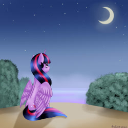 Size: 3000x3000 | Tagged: safe, artist:brilliant-luna, derpibooru import, twilight sparkle, twilight sparkle (alicorn), alicorn, pony, bush, crescent moon, female, moon, night, sitting, solo, stars