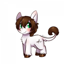 Size: 1200x1200 | Tagged: safe, derpibooru import, oc, oc:whisper softbottom, blushing, cute, female, leonine tail, mare, pulse, simple background, smiling, smol, solo