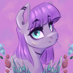 Size: 6000x6000 | Tagged: safe, artist:faline-art, derpibooru import, maud pie, earth pony, pony, bandage, ear piercing, earring, female, jewelry, looking at you, mare, piercing, solo