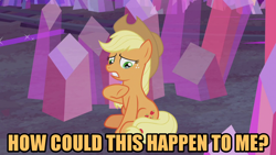 Size: 1280x720 | Tagged: safe, derpibooru import, edit, edited screencap, editor:jaredking203, screencap, applejack, earth pony, pony, hearthbreakers, caption, cowboy hat, female, freckles, hat, how could this happen to me, image macro, mare, meme, raised hoof, reference, solo, song reference, stetson, teary eyes, text, untitled (song)