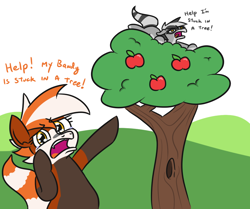 Size: 906x757 | Tagged: safe, artist:jargon scott, derpibooru import, oc, oc only, oc:bandy cyoot, oc:pandy cyoot, hybrid, pony, raccoon, raccoon pony, red panda, red panda pony, andy milonakis, apple, apple tree, bipedal, dialogue, female, food, looking at you, mare, no pupils, pointing, sad, scared, stuck, teary eyes, the andy milonakis show, tree, wide eyes
