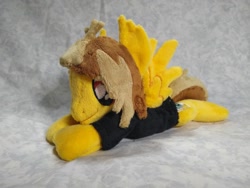 Size: 1032x774 | Tagged: safe, artist:bluedragonflyplush, derpibooru import, pegasus, pony, alex gaskarth, all time low, beanie (plushie), clothes, commission, ear fluff, irl, male, photo, plushie, ponified, prone, shirt, solo, spread wings, stallion, t-shirt, wings