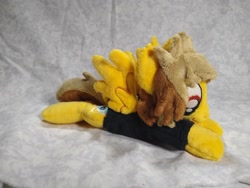 Size: 1032x774 | Tagged: safe, artist:bluedragonflyplush, derpibooru import, pegasus, pony, alex gaskarth, all time low, beanie (plushie), clothes, commission, ear fluff, irl, male, photo, plushie, ponified, prone, shirt, solo, spread wings, stallion, t-shirt, tail feathers, wings